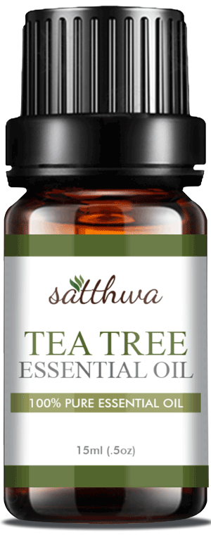 21 uses of Tea Tree Oil You need to know featuring Satthwa – Mehakkk J
